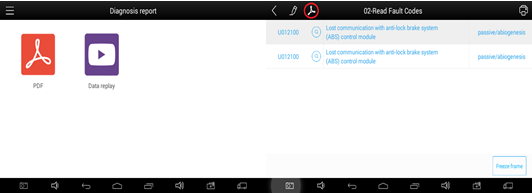 PDF File Display